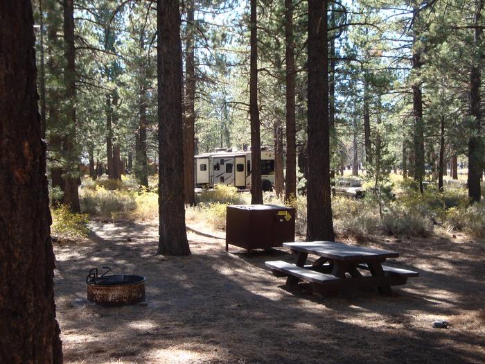 New Shady Rest Campground SITE 73