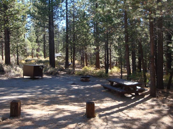 New Shady Rest Campground SITE 77