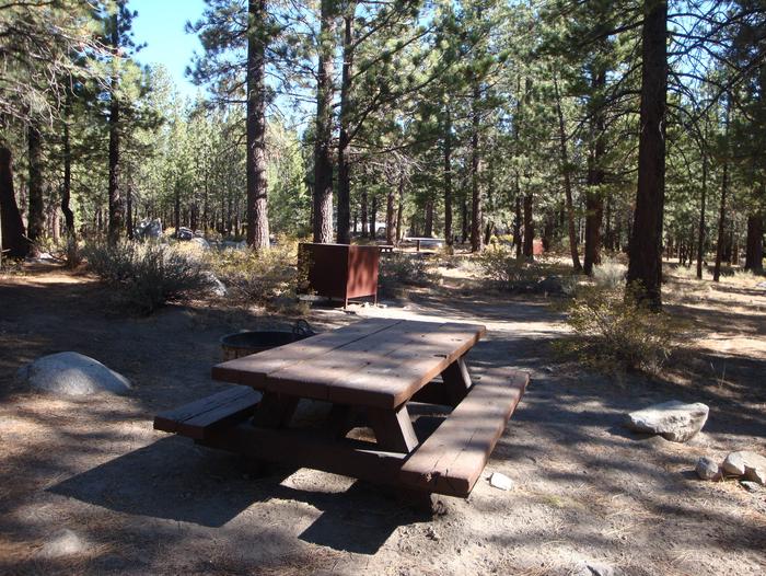 New Shady Rest Campground SITE 81