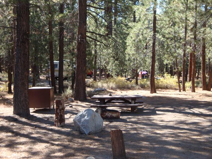 New Shady Rest Campground SITE 85