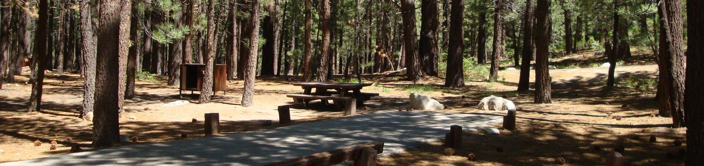 New Shady Rest Campground SITE 89
