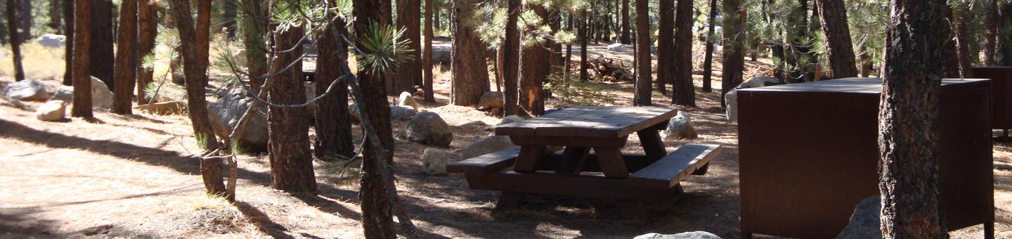 New Shady Rest Campground SITE 100