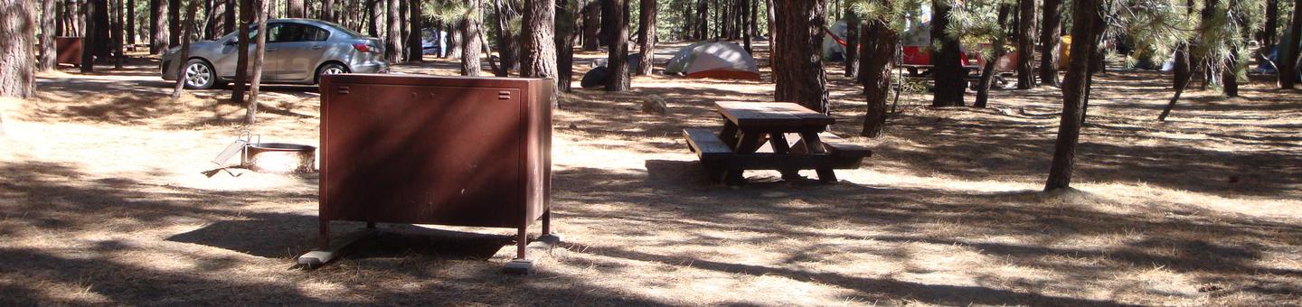 New Shady Rest Campground SITE 101