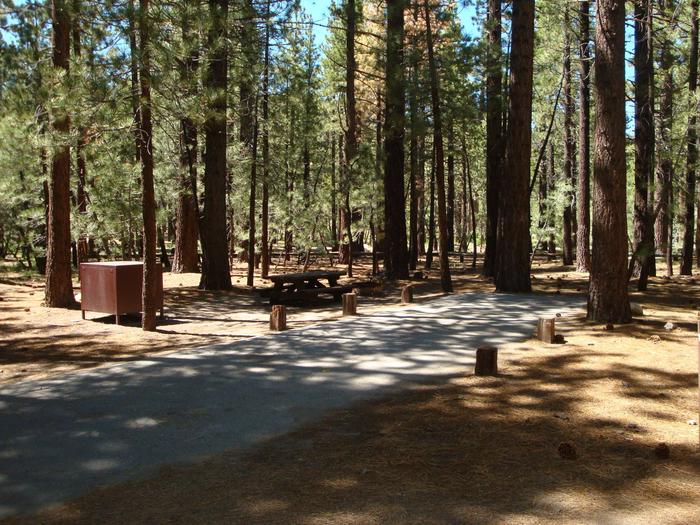 New Shady Rest Campground SITE 103
