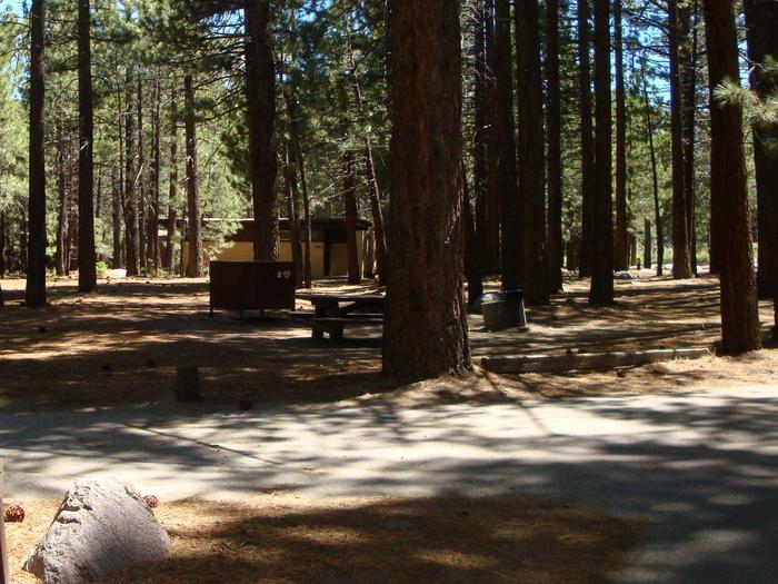 New Shady Rest Campground SITE 106