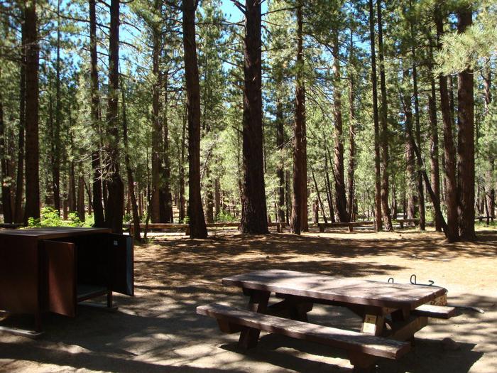 New Shady Rest Campground SITE 105