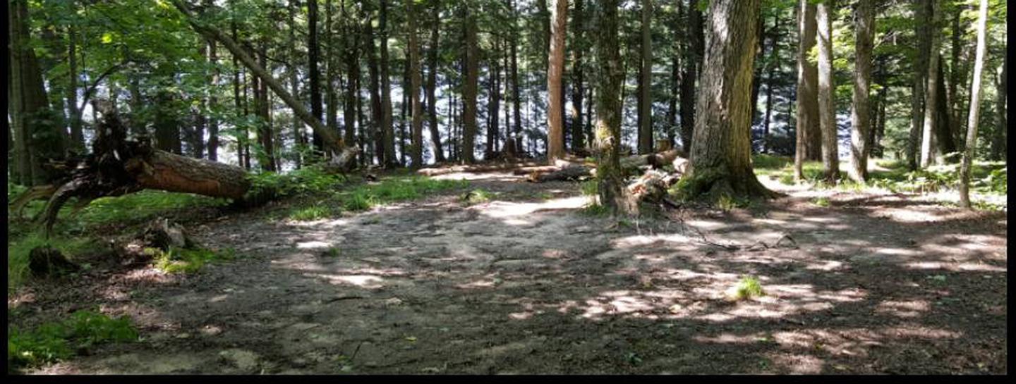 Wolf Campsite photo.This campsite has room available for 2 to 3 tents.