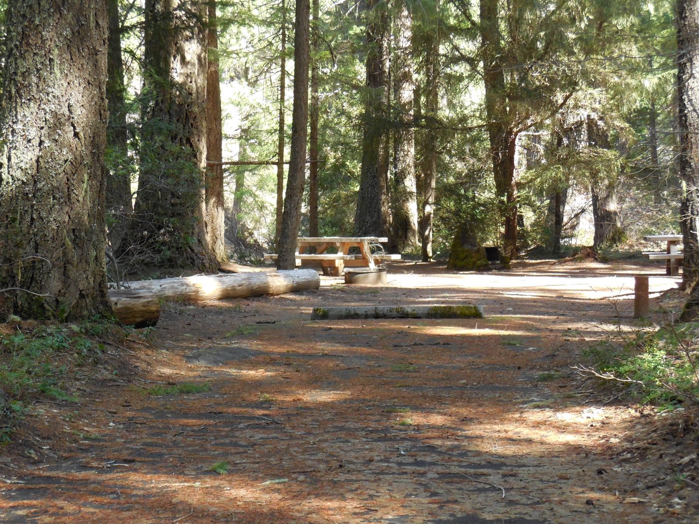 Site 018, Farewell Bend Campground - Recreation.gov