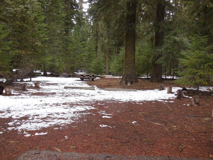 Site 17 Fish Lake Campground Rogue River