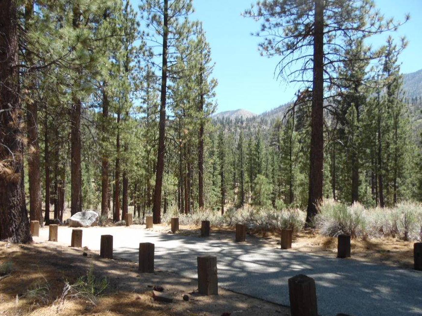 Heart Bar Campground, San Bernardino National Forest - Recreation.gov