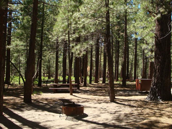 New Shady Rest Campground SITE 109
