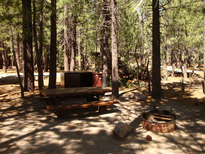 New Shady Rest Campground SITE 111