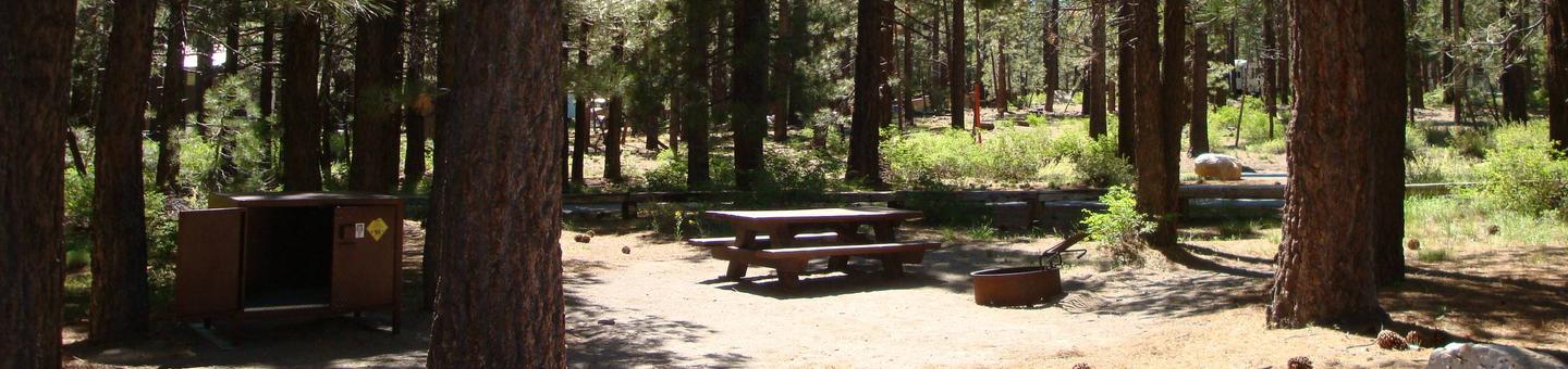 New Shady Rest Campground SITE 114