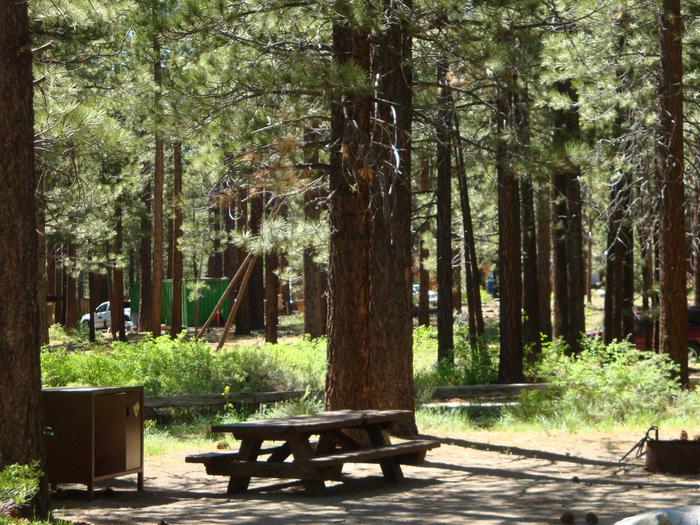 New Shady Rest Campground SITE 116