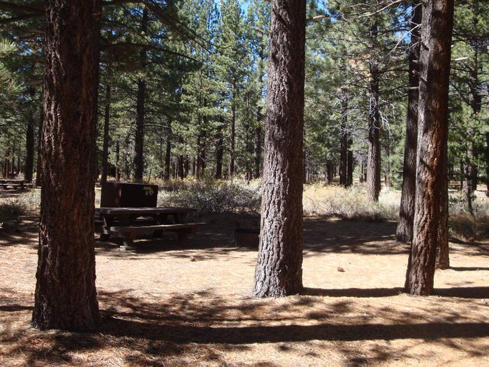 New Shady Rest Campground SITE 123