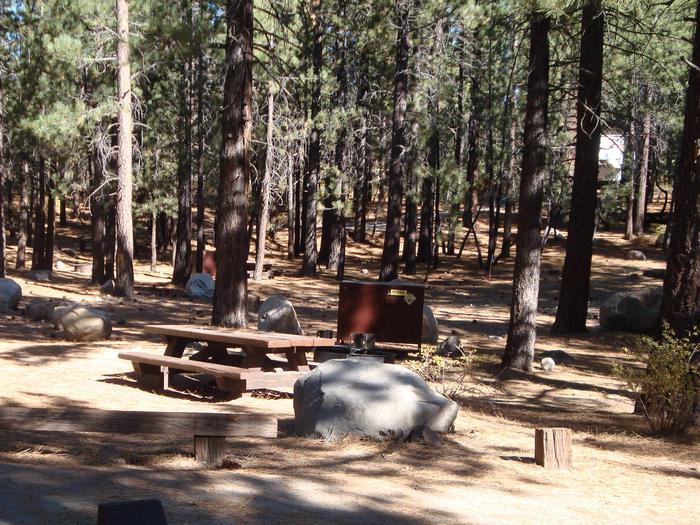 New Shady Rest Campground SITE 124