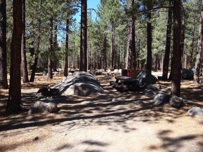 New Shady Rest Campground SITE 128