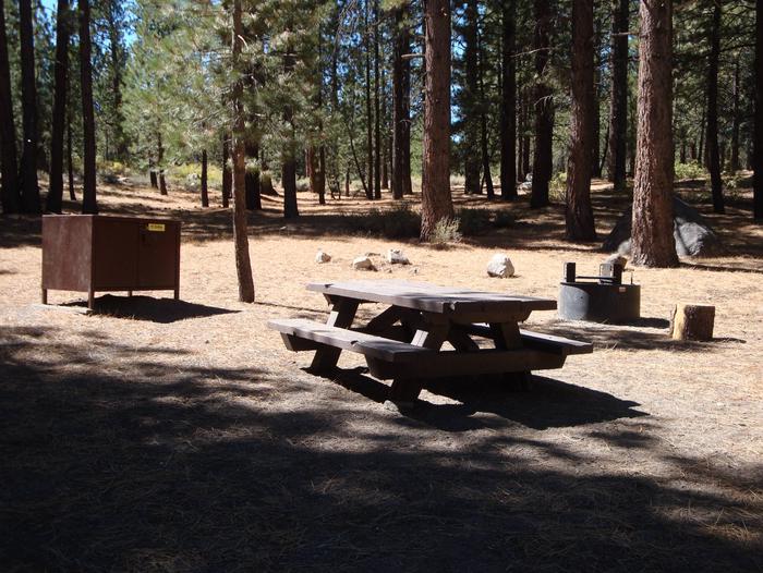 New Shady Rest Campground SITE 137