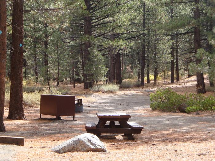 New Shady Rest Campground SITE 140