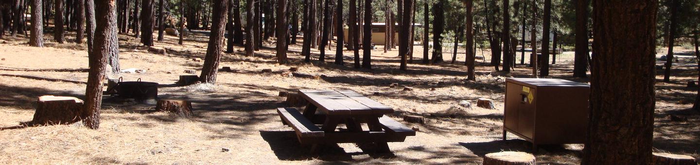 New Shady Rest Campground SITE 146