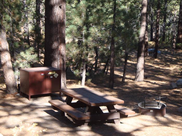 New Shady Rest Campground SITE 150