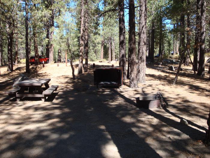 New Shady Rest Campground SITE 153