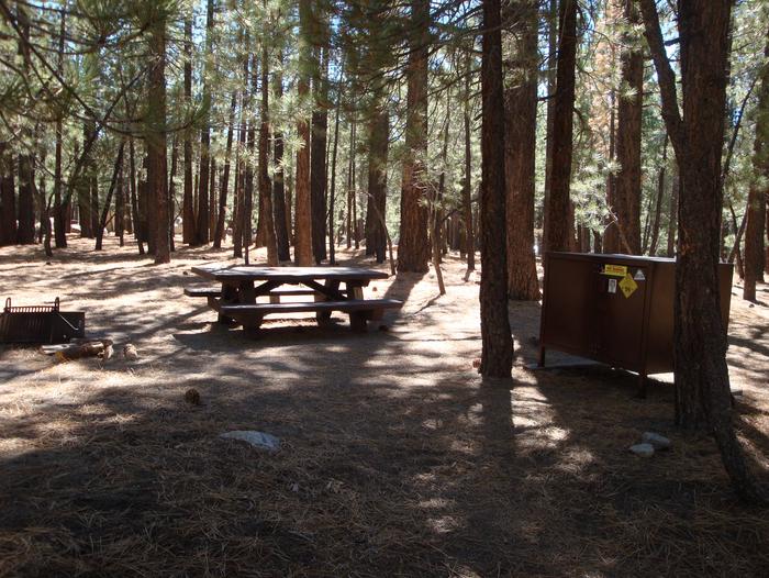 New Shady Rest Campground SITE 155