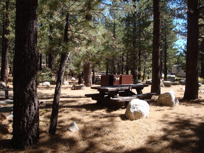 New Shady Rest Campground SITE 164