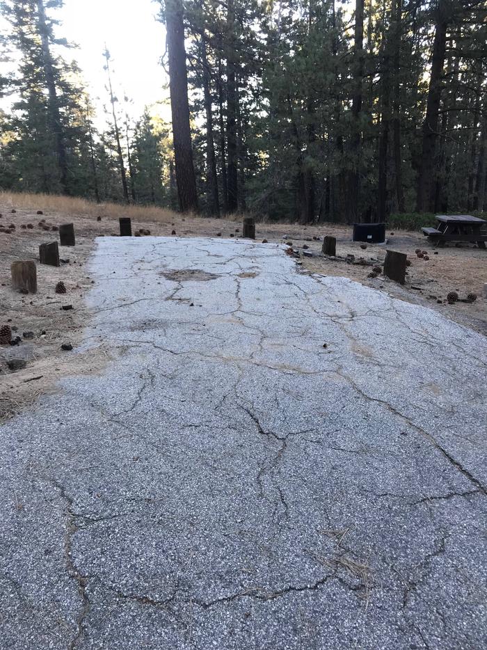 Mt Pinos Campground Site 1