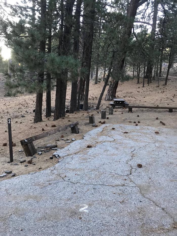 Mt Pinos Campground Site 2