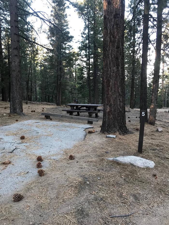 Mt Pinos Campground Site 5
