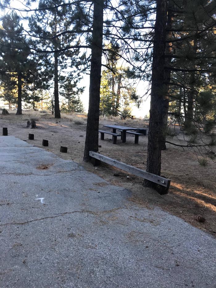 Mt Pinos Campground Site 7