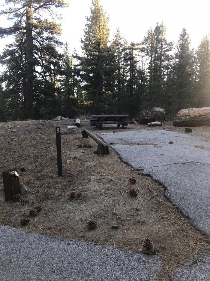 Mt Pinos Campground Site 9