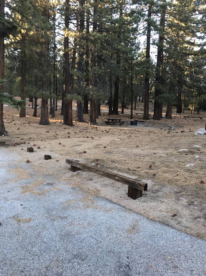 Mt Pinos Campground Site 10