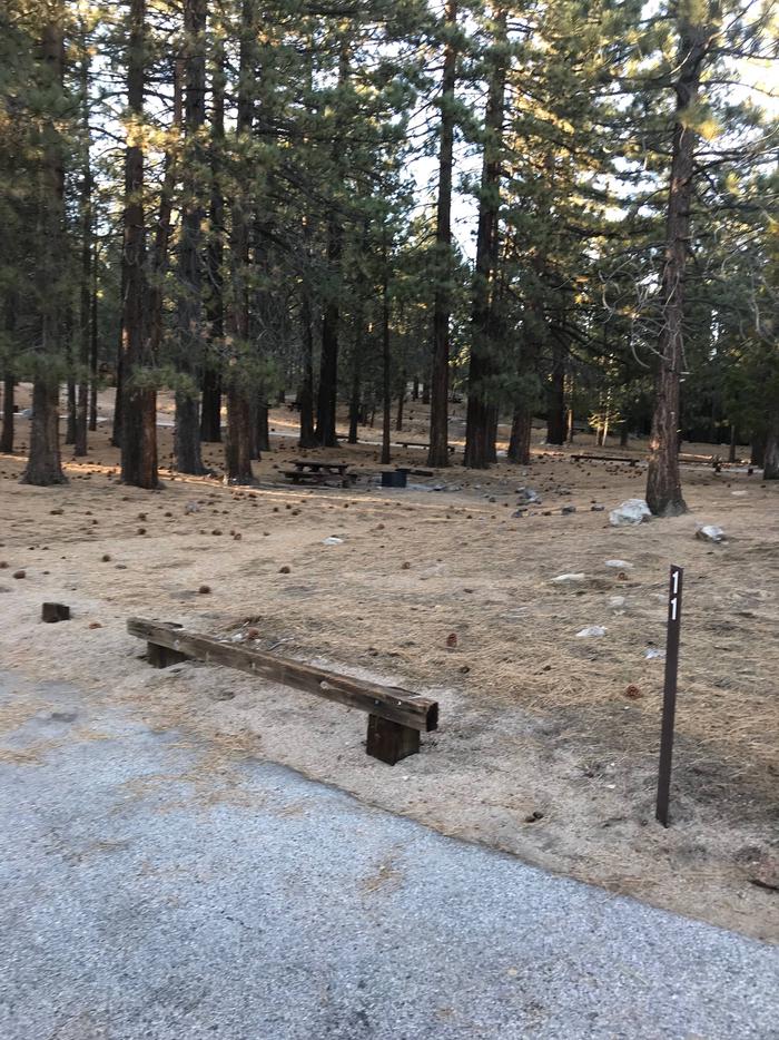 Mt Pinos Campground Site 11
