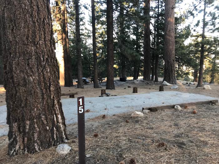 Mt Pinos Campground Site 15