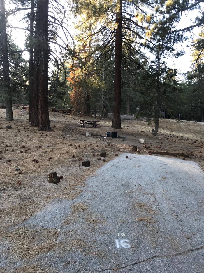 Mt Pinos Campground Site 16