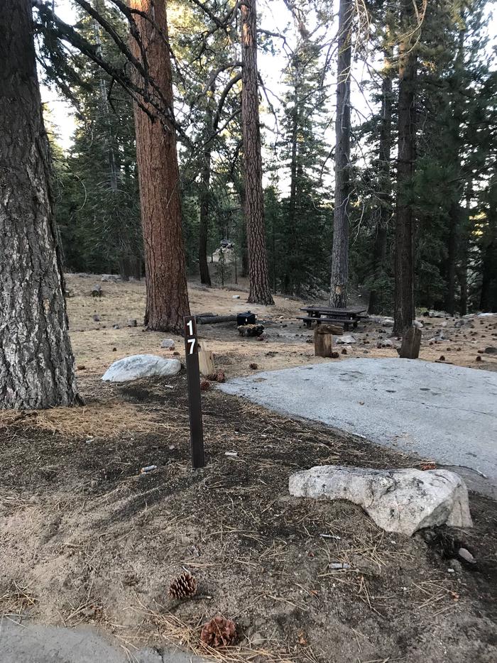 Mt Pinos Campground Site 17