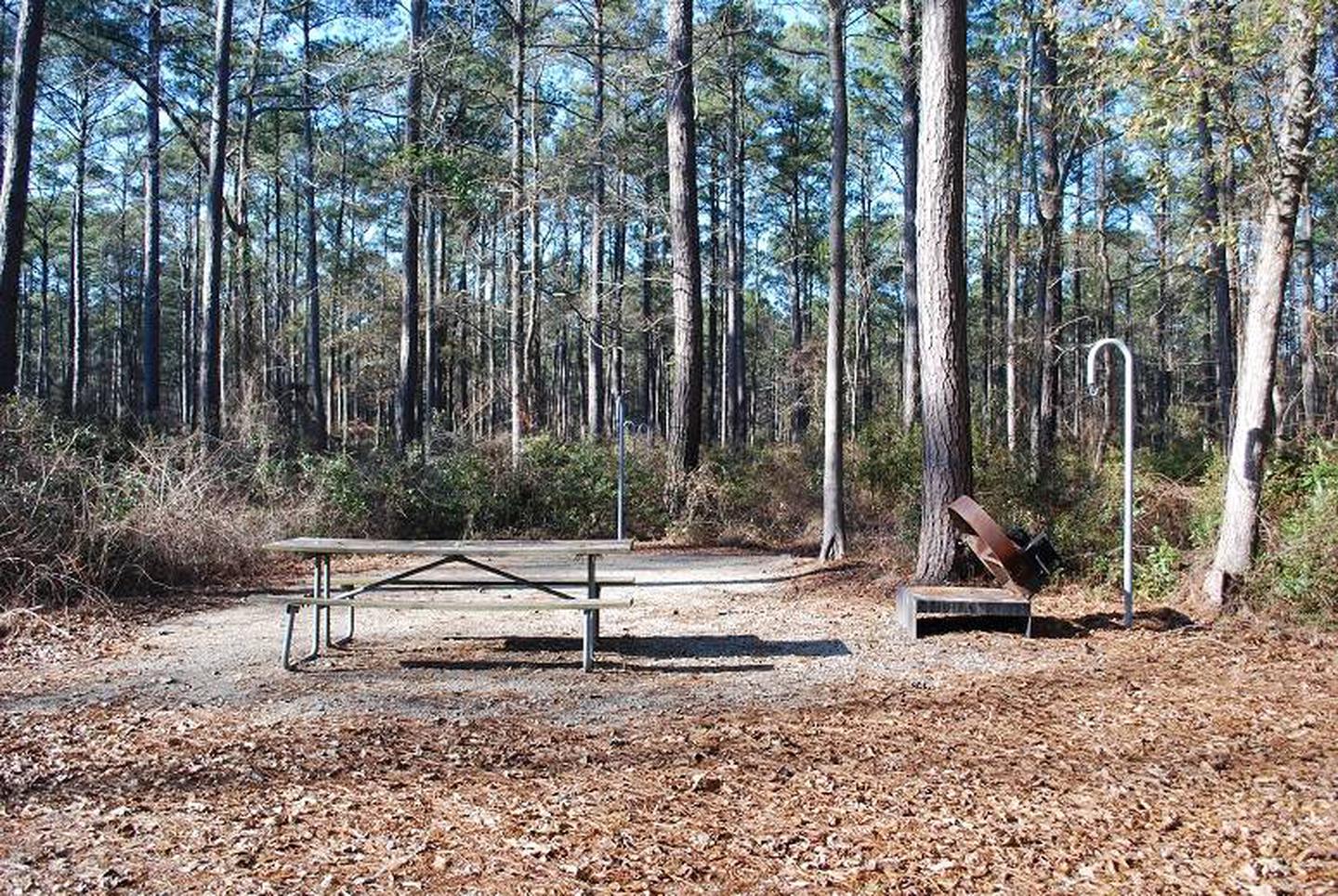 Oyster Point Campsite #6First Come-First Served Basic Campsite - Tent Pad, Picnic Table, Fire Ring, Lantern Post