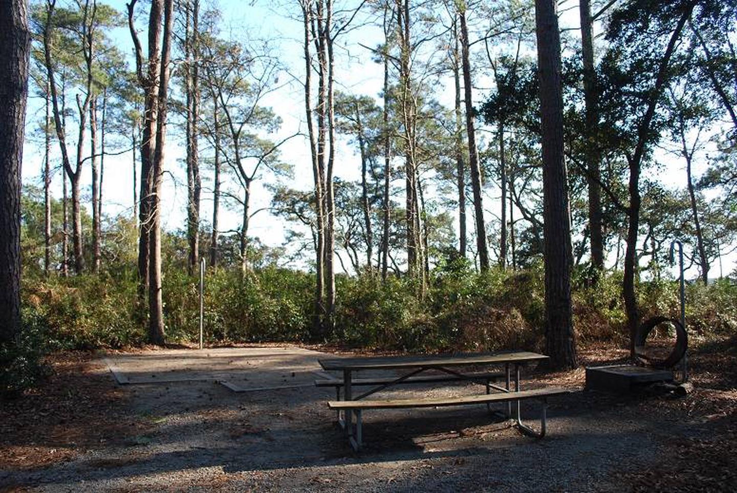 Oyster Point Campsite #9Basic Campsite - Tent Pad, Picnic Table, Fire Ring, Lantern Post