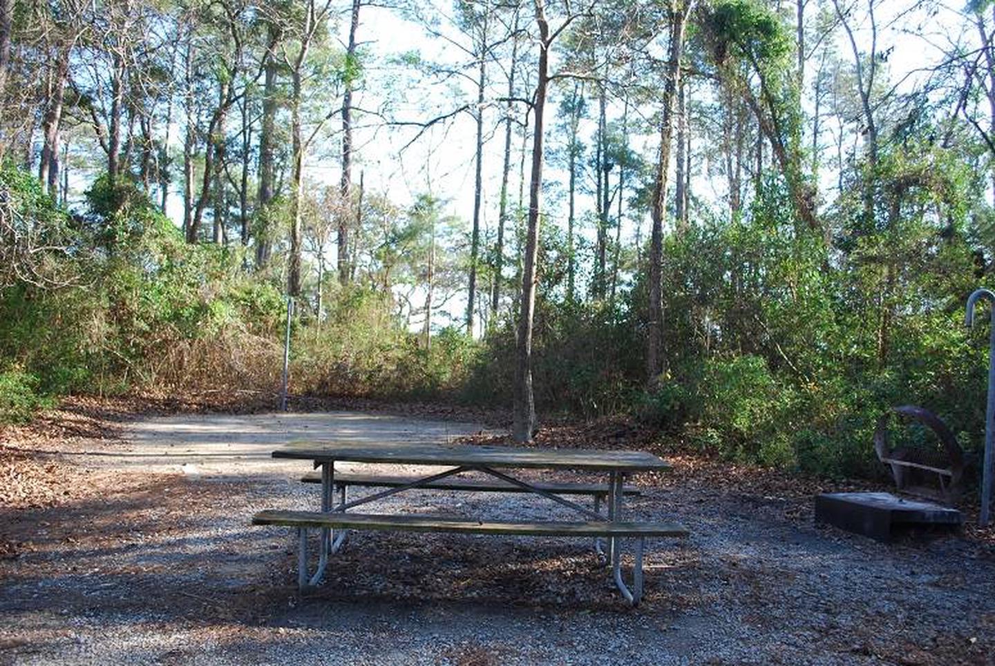 Oyster Point Campground Site #11Basic Site - Camp pad, picnic table, fire ring, and lantern post