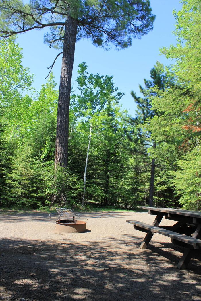 Flour Lake Campground Site #36Site #36