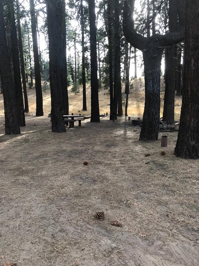 Pine Mountain Campground Site 1