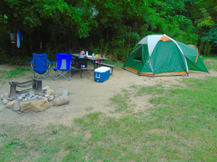 Steel Creek Camp Site #4