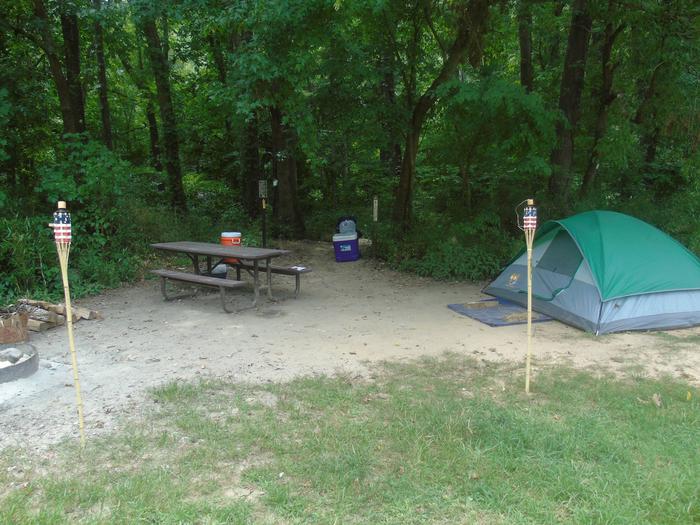 Steel Creek Camp Site #24