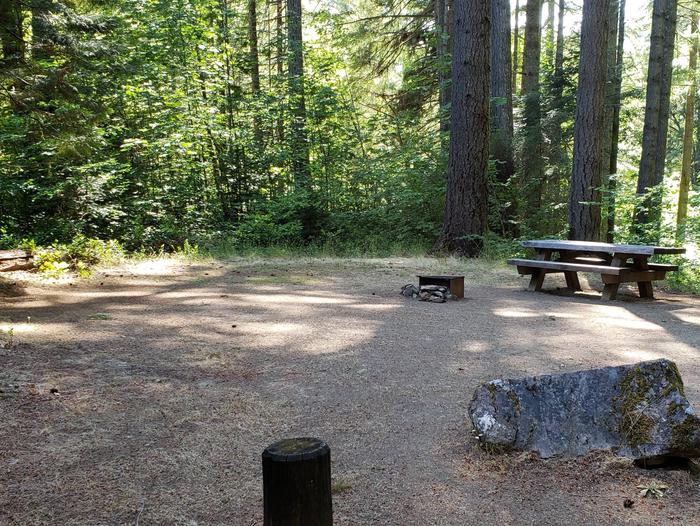 Flat campsite with one picnic table and fire ring.015