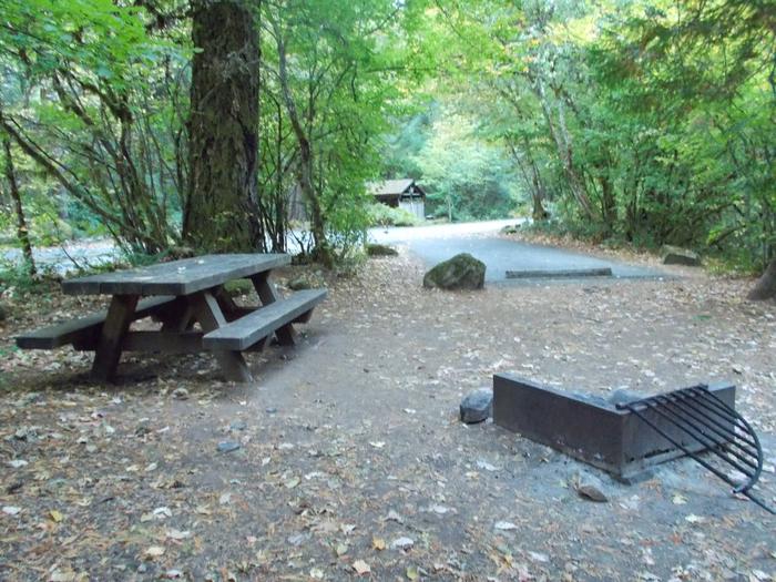 Flat campsite with one picnic table and fire ring.01