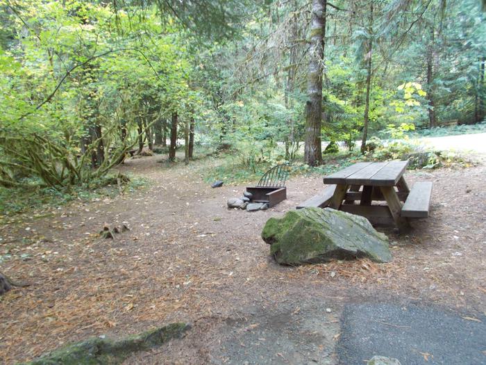 Flat campsite with one picnic table and fire ring.03