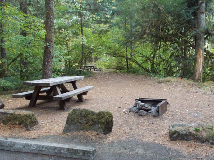 Flat campsite with one picnic table and fire ring.04