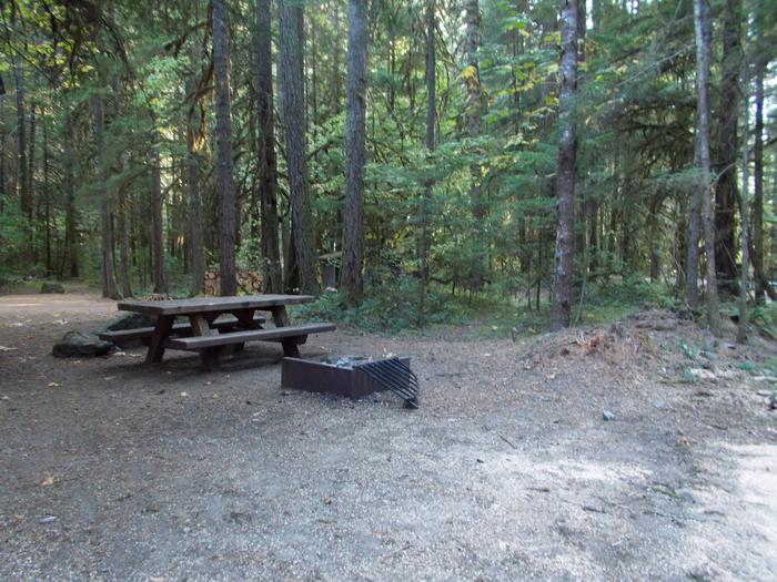Flat campsite with one picnic table and fire ring.002